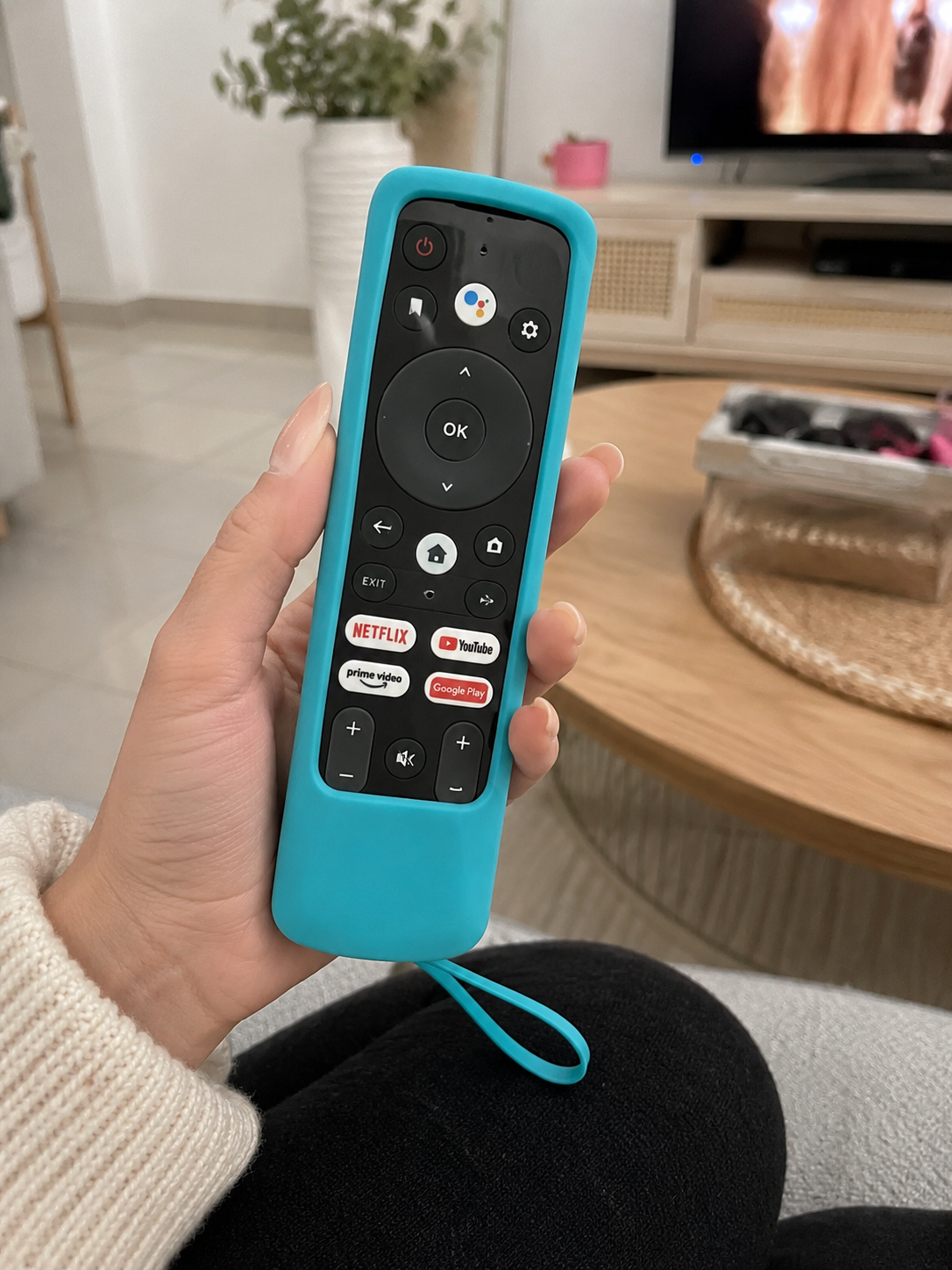 Funda protectora para mando a distancia