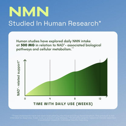 Cata-Kor Suplemento NMN - Suplemento NAD 4 en 1 con quercetina | TMG | Resveratrol - Alternativa NMNH -