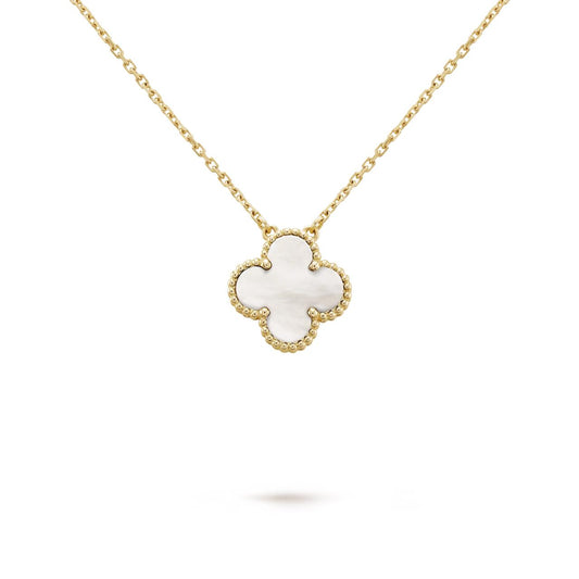 Collar 1 Vc + Caja de Collar