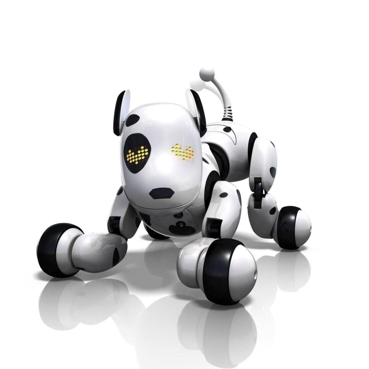 Perro Robot