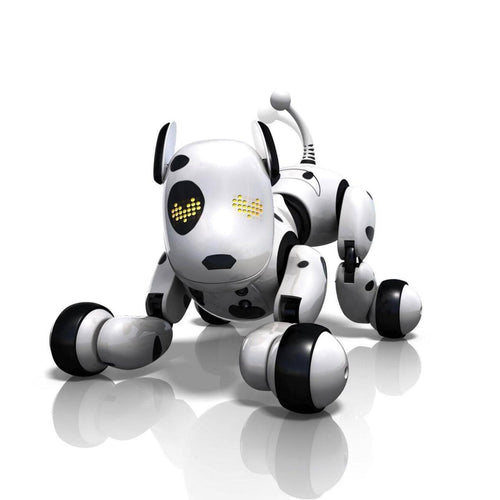 Cão Robô