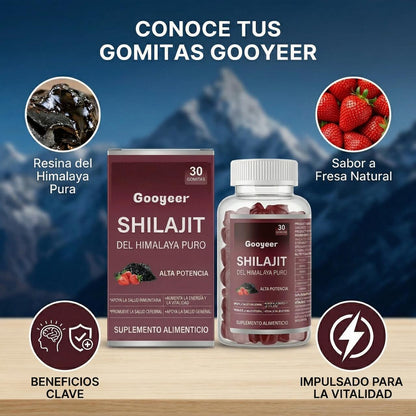 Gummies shilajit
