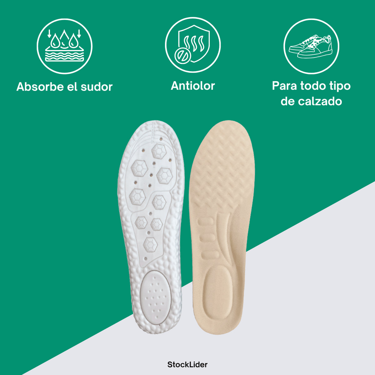 PLANTILLAS DEPORTIVAS