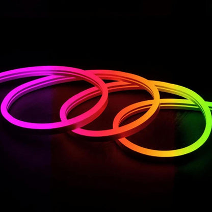 NEON LED RGB 5M CON MANDO