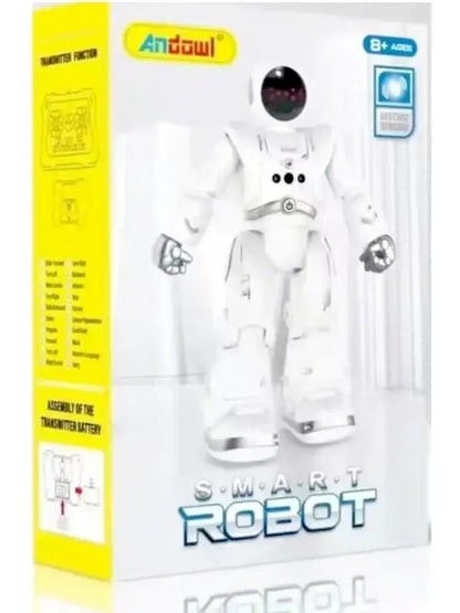 Smart Robot