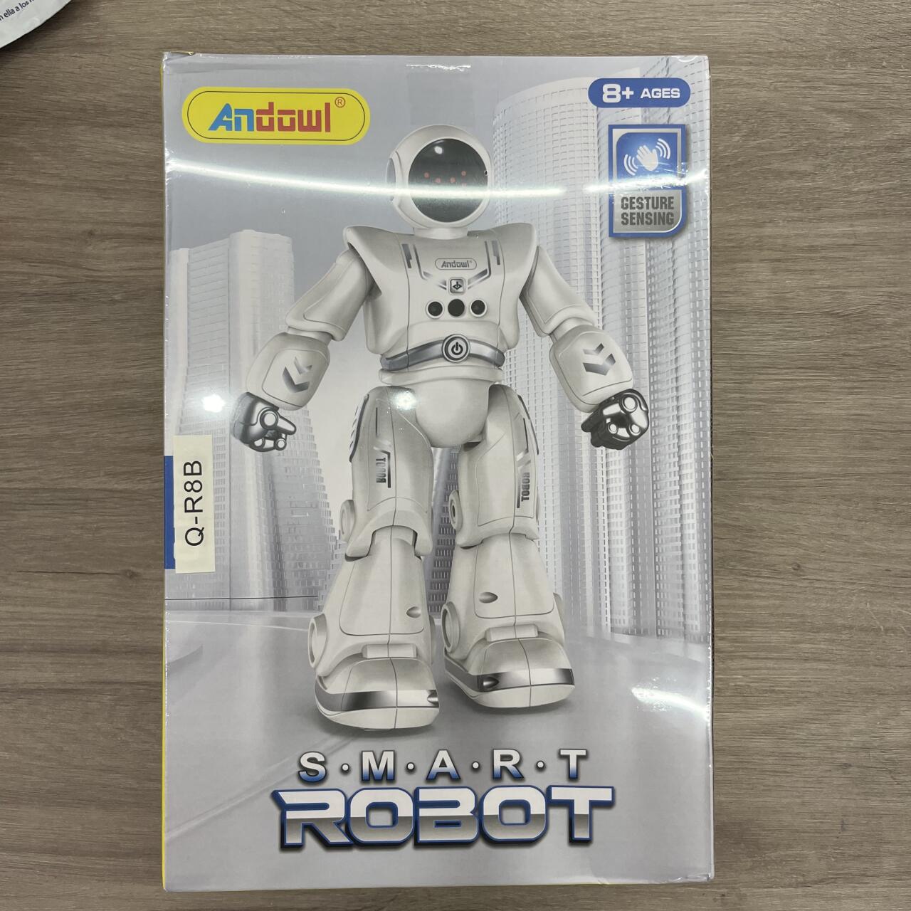 Smart Robot