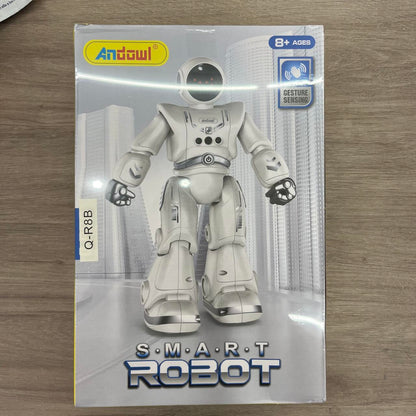 Smart Robot
