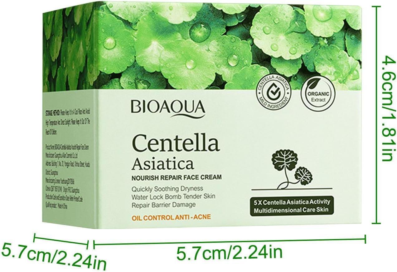 Crema Facial Hidratante de Centella Asiática – Calma, Repara e Hidrata (50 g)