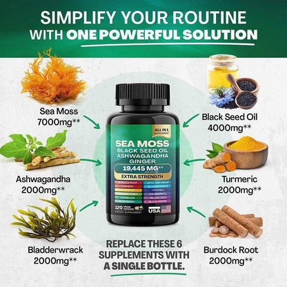 Sea Moss + Black Seed Oil + Ashwagandha – Suplemento Natural Todo en Uno