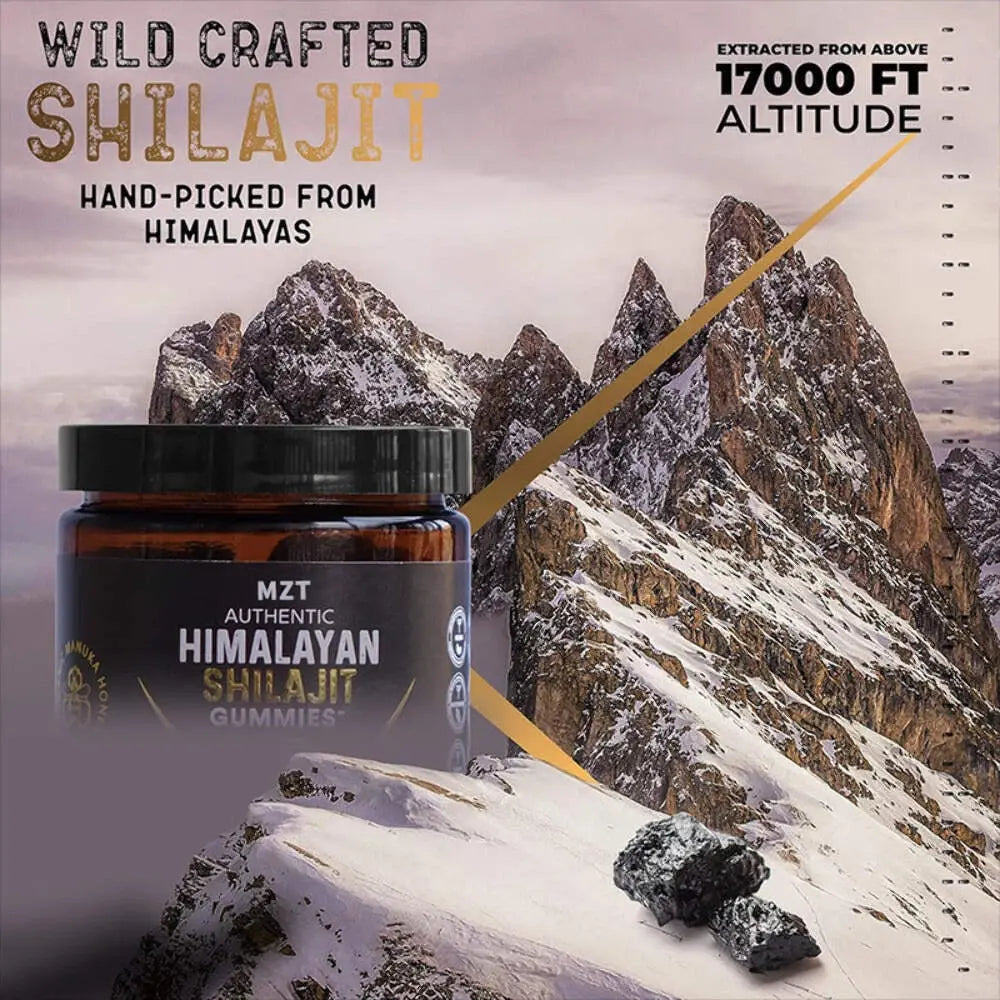 Shilajit Gummies – Paquete de 30 unidades