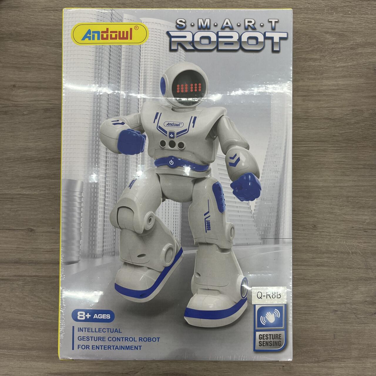 Smart Robot